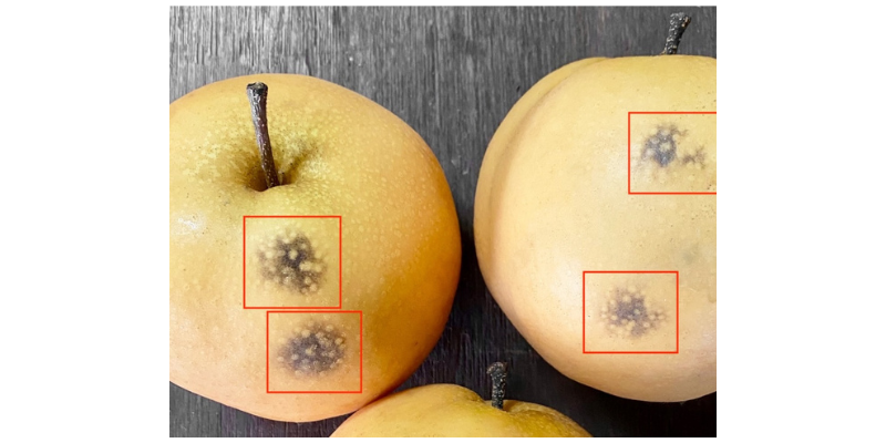 尊龙凯时·(中国)官方网站