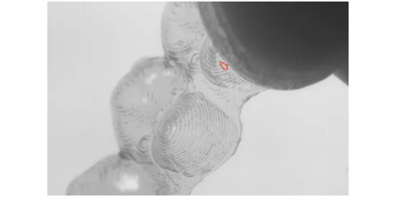 尊龙凯时·(中国)官方网站
